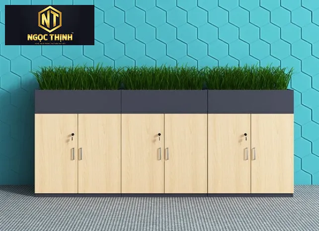 TỦ TRANG TRÍ CÂY NGỌC THỊNH GIÁ TỐT